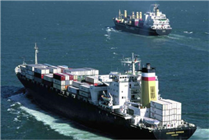 产品展示与货物进出口 全球贸易的桥梁与窗口